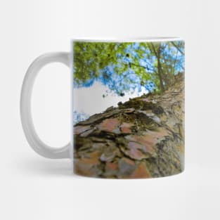 Tree from below Mug